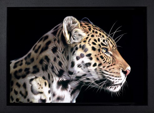 The Wild Side I by Darryn Eggleton - Framed Box Canvas
